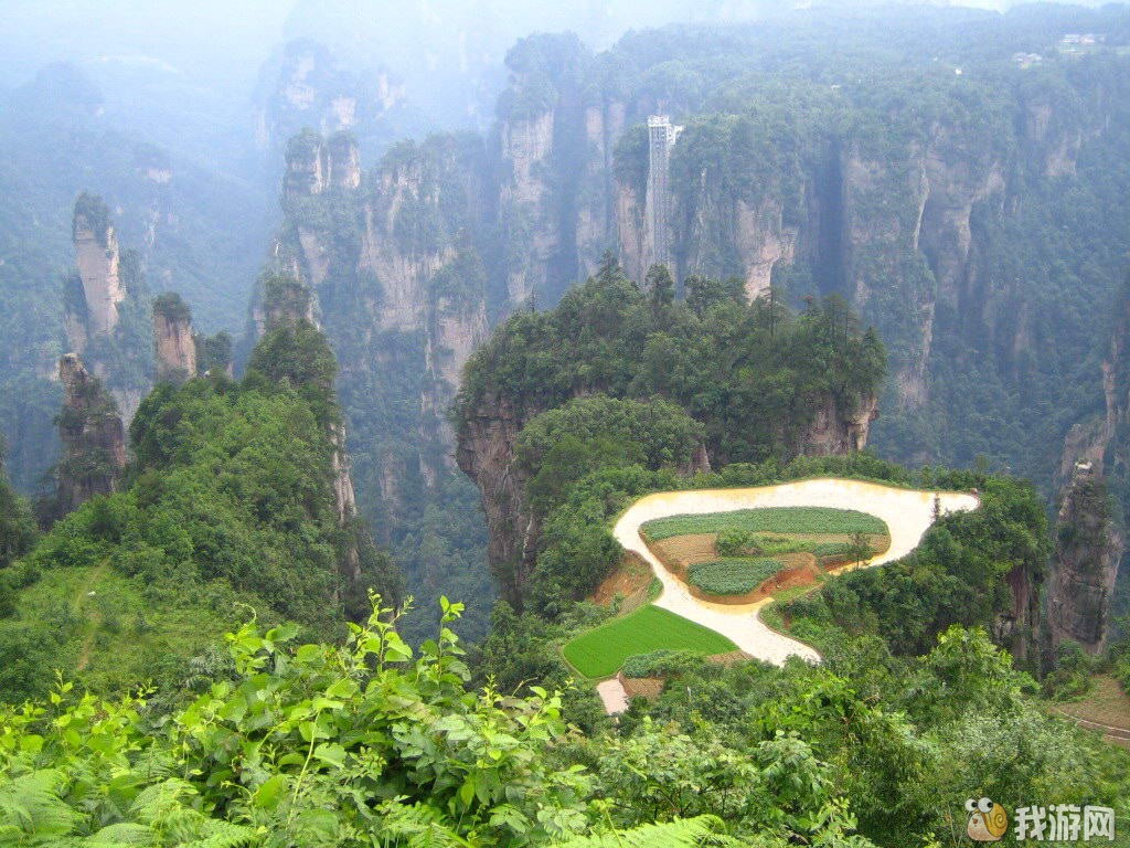 百龙田园.jpg