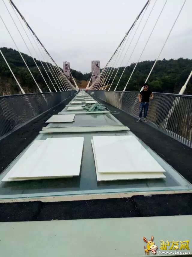 135774762783527824 - 副本.jpg